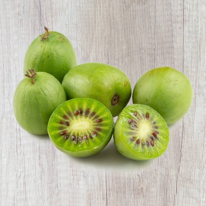 Buy Issai Kiwi Plants