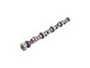 Mopar Performance Purple Mechanical Camshaft - P4120653AE