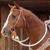 Martin Saddlery® Heavy Weight 9ft Colt Rein