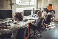 Four programmers at stationary desk computers