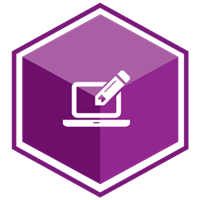 VCS Intelligent Workforce Management icon representing the Custom Report and Payroll Export Writer module. Purple hexagon with computer and pencil symbol