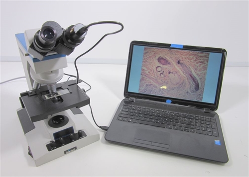 Jung Reichert Microstar IV Microscope