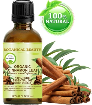 Organic Cinnamon Leaf Essential Oil Botanical Beauty