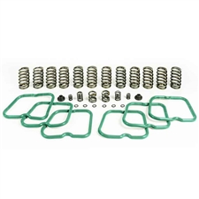 Pacbrake HP10243 Premium Kit 12 Heavy Duty Valve Springs for 1994-1998 Dodge 5.9L Cummins