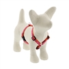 Lupine 1/2" Alpen Glow 12-20" Roman Harness