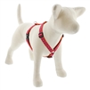 Lupine 3/4" Alpen Glow 14-24" Roman Harness