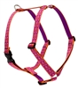 Lupine 1" Alpen Glow 36-44" Roman Harness