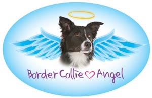 Border Collie Angel Oval Magnet - A43