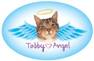 Tabby Angel Oval Magnet - A75