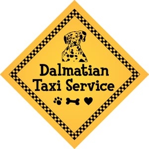 Dalmatian Taxi Service Magnet 6" - YPT11-6