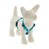 Lupine 1/2" Aqua 12-20" Roman Harness