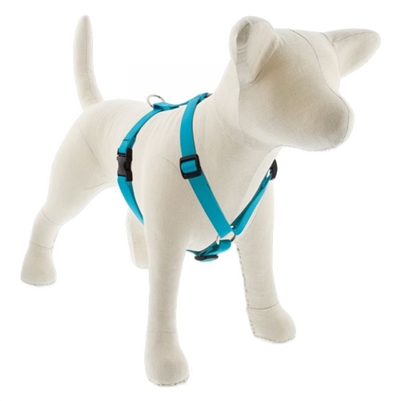 Lupine 3/4" Aqua 12-20" Roman Harness