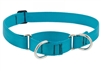 Lupine 1" Aqua 15-22" Martingale Training Collar