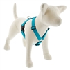 Lupine 1" Aqua 24-38" Roman Harness