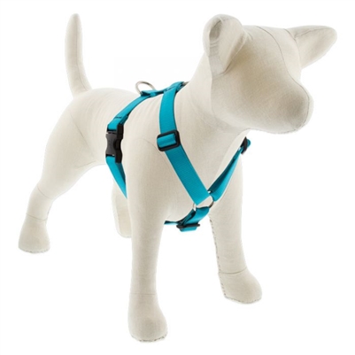 Lupine 1" Aqua 24-38" Roman Harness