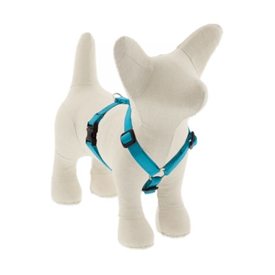 Lupine 1/2" Aqua 9-14" Roman Harness