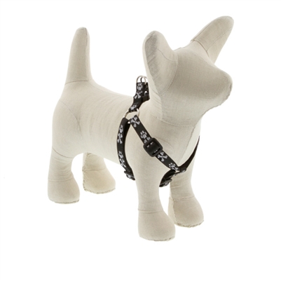 Lupine 1/2" Bling Bonz 10-13" Step-in Harness