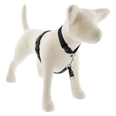 Lupine 3/4" Bling Bonz 16-26" No-Pull Harness