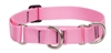 Lupine 1" Pink 19-27" Martingale Training Collar