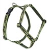 Lupine 1" Brook Trout 24-38" Roman Harness