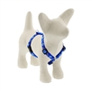 Lupine 1/2" Dapper Dog 12-20" Roman Harness