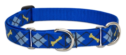 Lupine 1" Dapper Dog 19-27" Martingale Training Collar