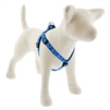 Lupine 3/4" Dapper Dog 20-30" Step-in Harness