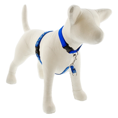 Lupine 3/4" Dapper Dog 16-26" No-Pull Harness