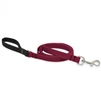 Lupine ECO 3/4" Berry 4' Padded Handle Leash