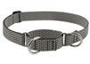 Lupine ECO 1" Granite 19-27" Martingale Training Collar