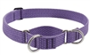 Lupine ECO 1" Lilac 15-22" Martingale Training Collar