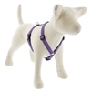 Lupine ECO 3/4" Lilac 20-32" Roman Harness