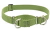 Lupine ECO 1" Moss 19-27" Martingale Training Collar