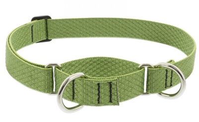 Lupine ECO 1" Moss 19-27" Martingale Training Collar