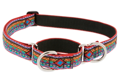 Lupine 1" El Paso 19-27" Martingale Training Collar