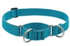 Lupine ECO 1" Tropical Sea 19-27" Martingale Training Collar