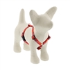 Lupine 1/2" Go Go Gecko 12-20" Roman Harness