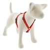 Lupine 3/4" Go Go Gecko 20-32" Roman Harness