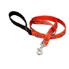 Lupine 3/4" Go Go Gecko 4' Padded Handle Leash