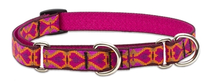 Retired Lupine 3/4" Heart 2 Heart 10-14" Martingale Training Collar