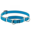 Lupine High Lights 3/4" Blue Diamond 14-20" Martingale Training Collar