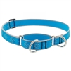 Lupine High Lights 1" Blue Diamond 15-22" Martingale Training Collar