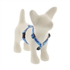 Lupine High Lights 1/2" Blue Paws 12-20" Roman Harness