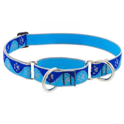 Lupine High Lights 1" Blue Paws 19-27" Martingale Training Collar