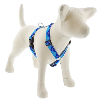 Lupine High Lights 1" Blue Paws 24-38" Roman Harness