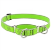 Lupine High Lights 1" Green Diamond 15-22" Martingale Training Collar