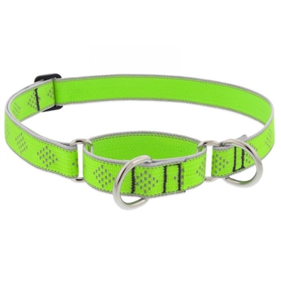 Lupine High Lights 1" Green Diamond 19-27" Martingale Training Collar