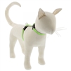 Lupine High Lights 1/2" Green Diamond 9-14" H-Style Cat Harness