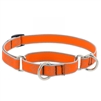 Lupine High Lights 3/4" Orange Diamond 10-14" Martingale Training Collar