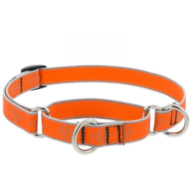 Lupine High Lights 3/4" Orange Diamond 10-14" Martingale Training Collar